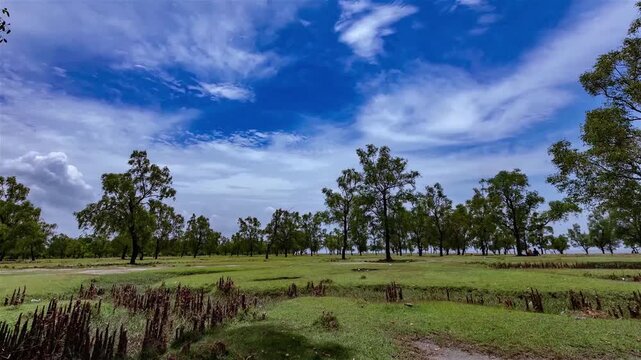 Guliakhali sea beach (also known as Muradpur beach) is located at Muradpur, Sitakunda in Chittagong Division, Bangladesh. It is 5 kilometres away from Sitakunda town.