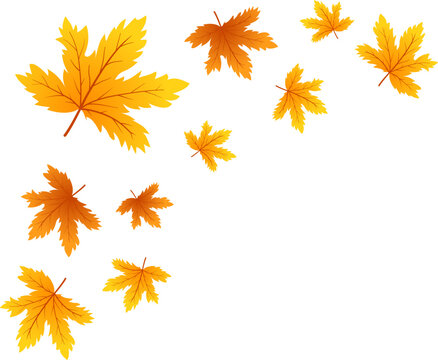 Autumn Leaves Corner Border