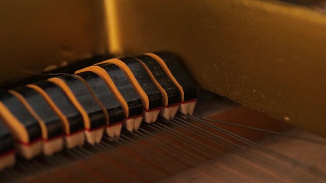 Macro shot of the internal piano mechanism with moving dampers during musical play. Soft felt pads touch the thin steel strings to dampen the sound.