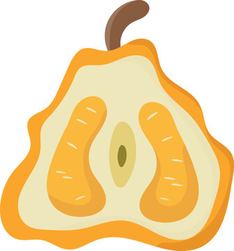 Ugli fruit vector isolated. Tropical sweet product