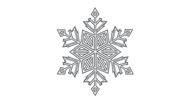 Detailed illustration of a single snowflake.