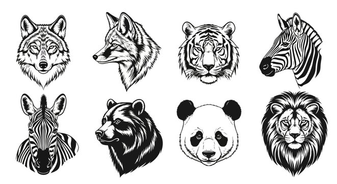Detailed black and white animal head illustrations wildlife icons wolf tiger zebra bear panda lion monochrome drawings various species nature graphics