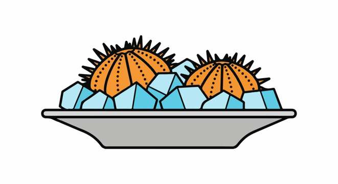 Sea urchins served on ice in a gray platter