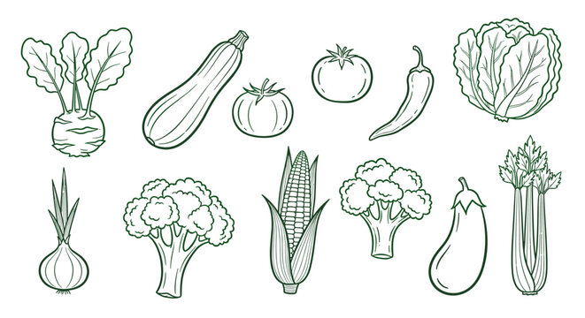 Set of outline drawings of fresh vegetables, including eggplant, corn, broccoli, tomato, zucchini, cabbage, and chili pepper, in a simple green line