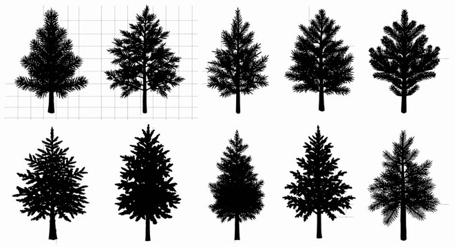 Ten black silhouettes of various pine trees on a grid background for design and landscaping use