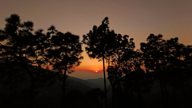 warm yellow orange sunset in the mountains forming a silhouette of the trees and the mountains