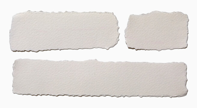 Pieces of torn paper on white background