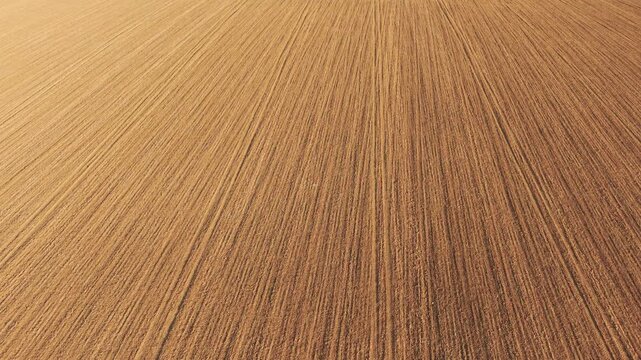 Brown cultivated soil with fine plowing lines forming textured agricultural field surface. Farmland prepared for sowing with evenly structured furrows across open landscape. Agriculture production