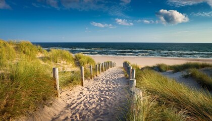Fototapeta premium Path To The Beach And Ocean At The Baltic Sea
