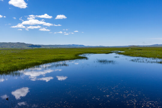 Camas Prairie wetlands in Spring