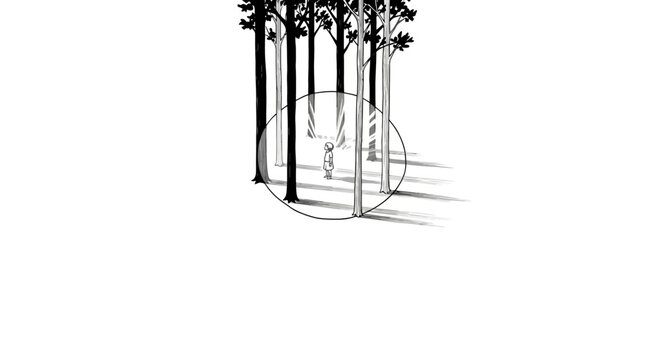 Silhouette of bicycle among tall slender trees outdoors.