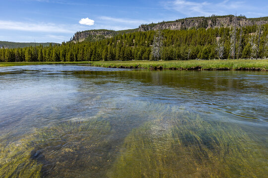 Firehole River calm water with aquatic plants