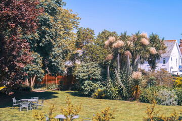 Obraz premium summer garden in countryside in Jersey Island, UK