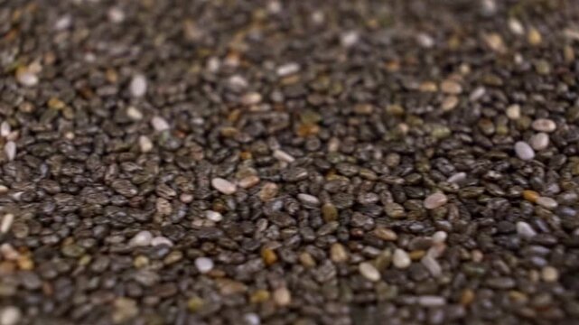 Shallow depth of field pan across chia seed texture