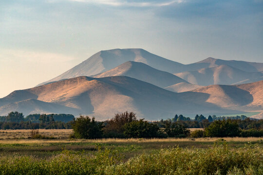 Fields and hills in late afternoon light