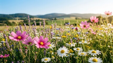 Fototapeta premium Vibrant field of wildflowers blooming under a bright summer sky with rolling hills in the background.