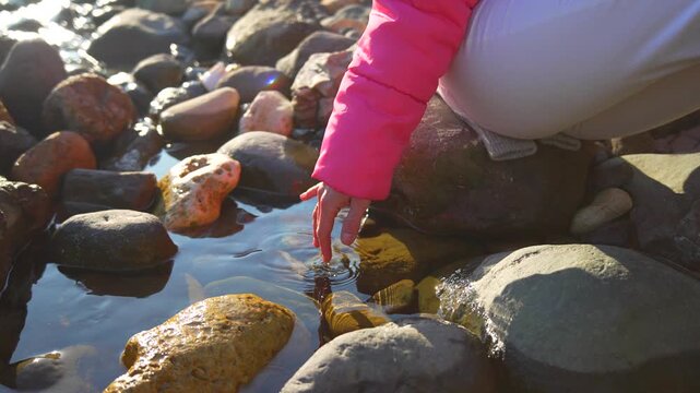 Water hand rocks child in a pink jacket gently touches the surface of a clear mountain stream to create ripples on a sunny day