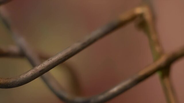 Close-up macro view of weathered metal fence wire with textured rust and bokeh background