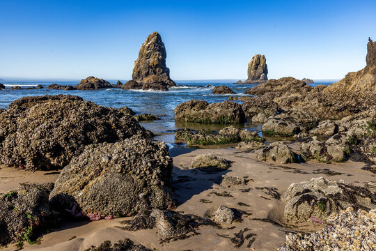 Cannon Beach rock formations at low tide