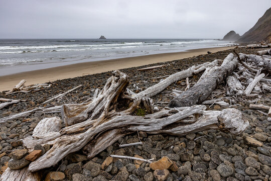 Driftwood and pebbles on empty beach