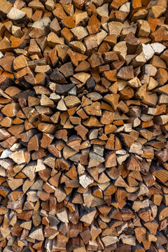 Close-up of firewood stacked for winter