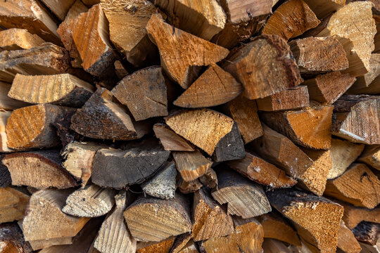 Close-up of firewood stacked for winter