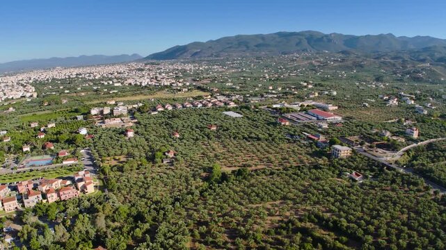Aerial view of olive groves, suburban Kalamata and Taygetus mountains in Peloponnese, Greece