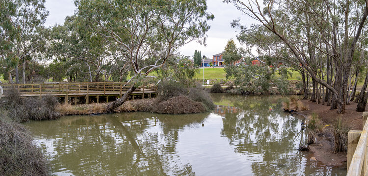 Peaceful natural wetland parkland at Navan Park in Melton West, Melbourne Australia. A timber pedestrian footbridge spans the waterway and residential houses beyond the tree line.