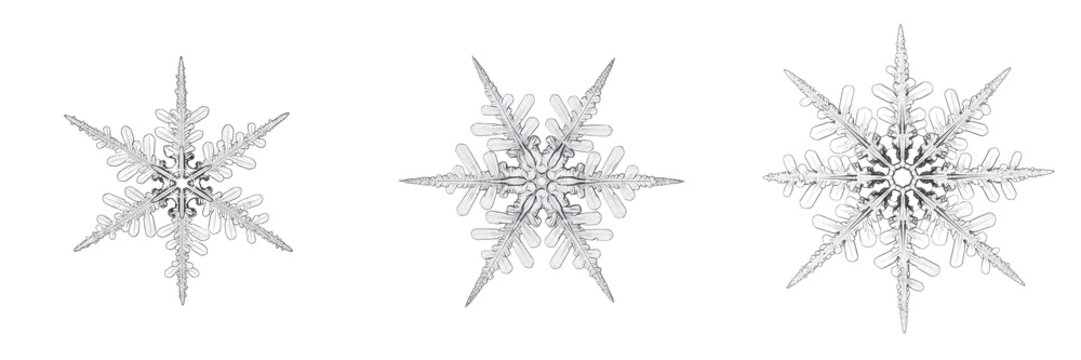 Snowflake Collection Isolated on White Background Realistic 3D Rendered Winter Assets for Holiday Branding Seasonal Decoration Projects and Christmas Design Elements