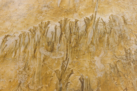 Abstract patterns on beach sand
