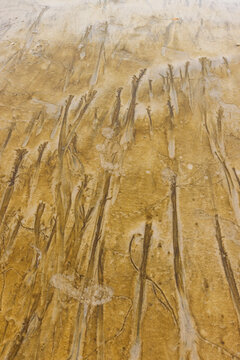 Abstract patterns on beach sand