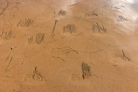 Abstract patterns on beach sand