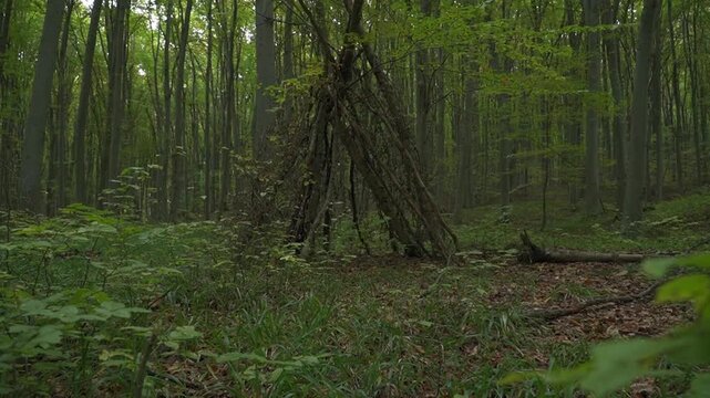 Handmade wooden teepee shelter built from branches in a green forest habitat showcasing bushcraft camp and outdoor survival skill.