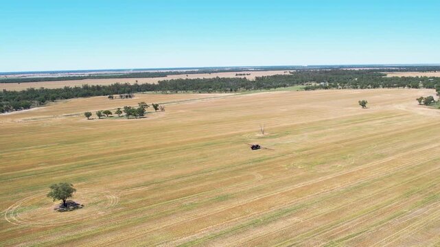 Aerial drone view of cows dispersed across open woodland grassland with scattered trees showing grazing livestock spread over dry rural terrain with wide spacing under clear sky