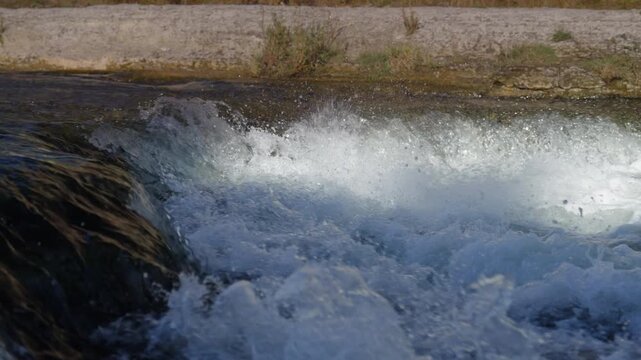 A salmon bursts through white water foam in a slow motion display of spawning behavior. Suspended water droplets trace the arc of the fish as it navigates the Ganaraska River.