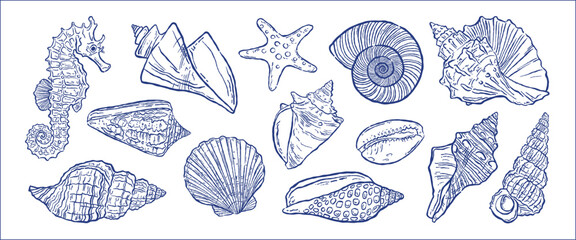 seashells ink line vector isolated bundle. mediterranean spiral shell, seahorse, starfish, amalfi, dolce vita. hand drawn editable outline doodle sketch organic naive marine trendy summer illustration © curly