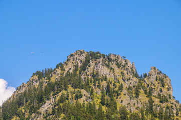 Fototapeta premium Paragliders soar over a rugged, tree-covered mountain peak under a clear blue sky