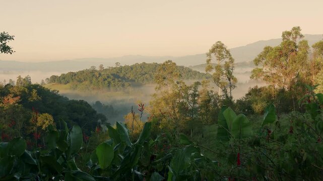 A dense fog moving around a hill at sunrise