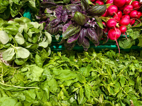 Fresh herbs and vegetables arranged in a market display during daytime shopping hours in a busy city location
