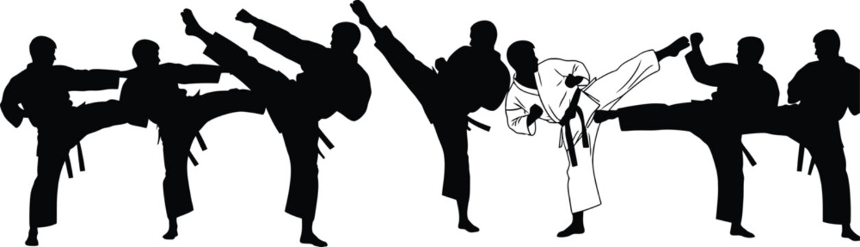 Silhouette of martial arts karate fighters group kicking vector illustration