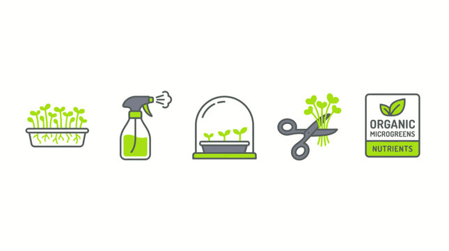 Organic Microgreens Cultivation Icon Set for Urban Gardening