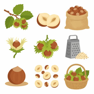 Collection of hazelnut illustrations featuring a branch with green leaves, nuts in husks, shelled kernels, halves, a burlap sack full of nuts, a wicker basket, and a metal grater.