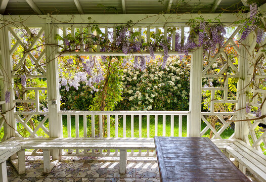 Garden pavilion with white wooden structure and blooming flowers during daylight