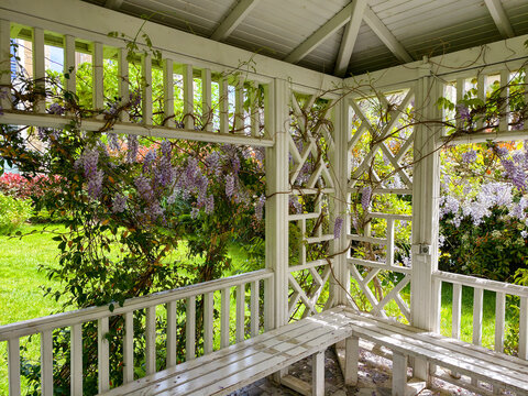 White gazebo in a garden with flowers and greenery during daytime hours