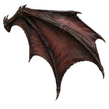 A dark brown dragon wing with sharp claws and scales spreads wide on a white background.