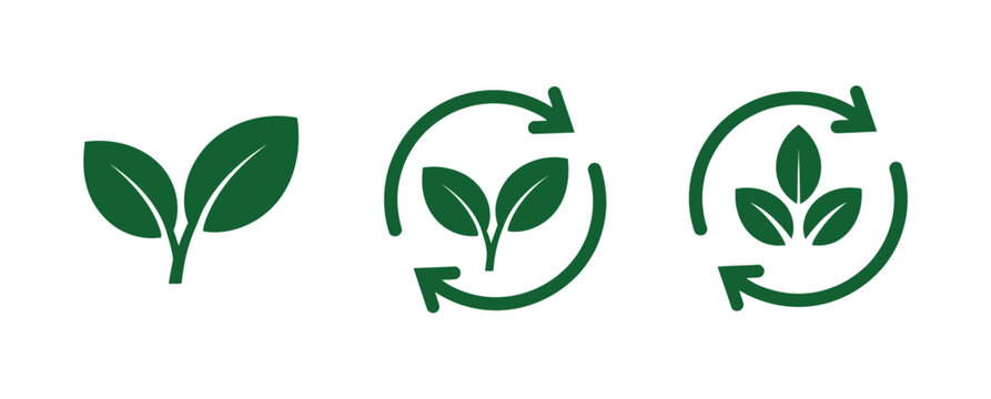Eco recycle icon set, green plant leaf symbols for sustainability, organic growth and environmental protection vector illustration.