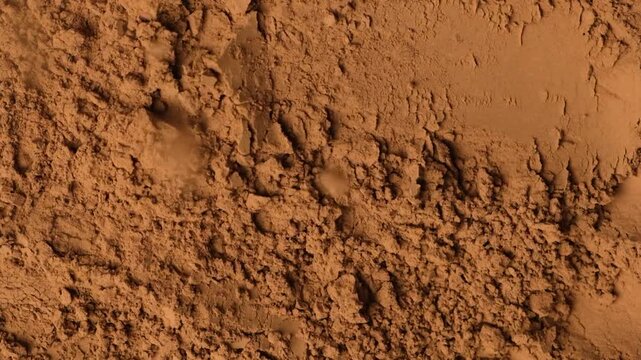 Slow motion sprinkle of aromatic cacao powder creating dusty texture