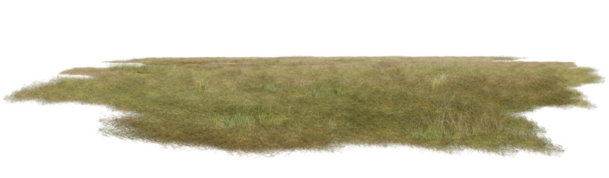 a pile of dry grass/High-resolution isolated patch of green and dry field grass, ultra-sharp detail 3D render element on white background.