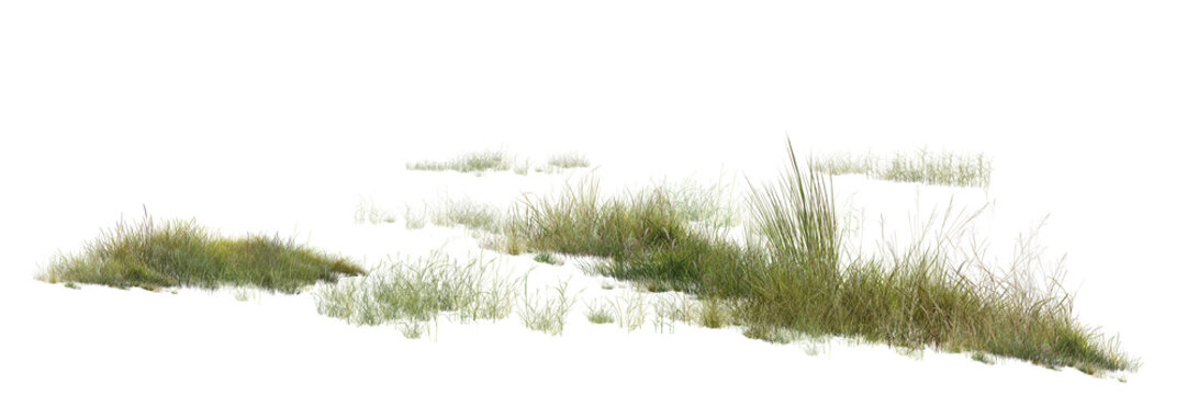 grass on white background/Highly detailed wild grass patches isolated on white background, realistic natural vegetation texture with sharp quality for landscape design.
