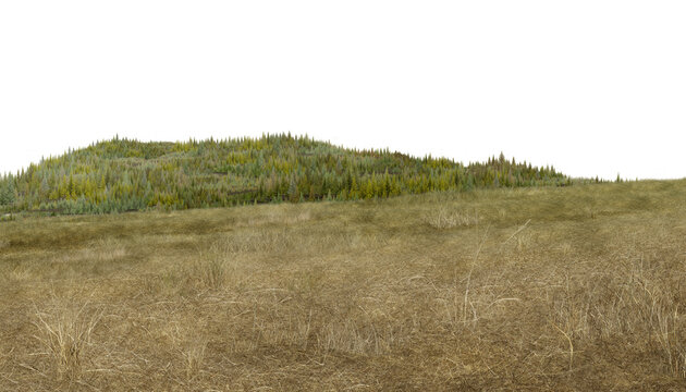 grass in the forest/High resolution panoramic landscape of dry grass field and forested hills with natural textures and sharp details.